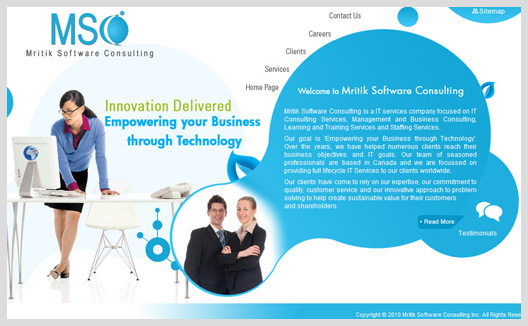 Mritik Software Consulting
